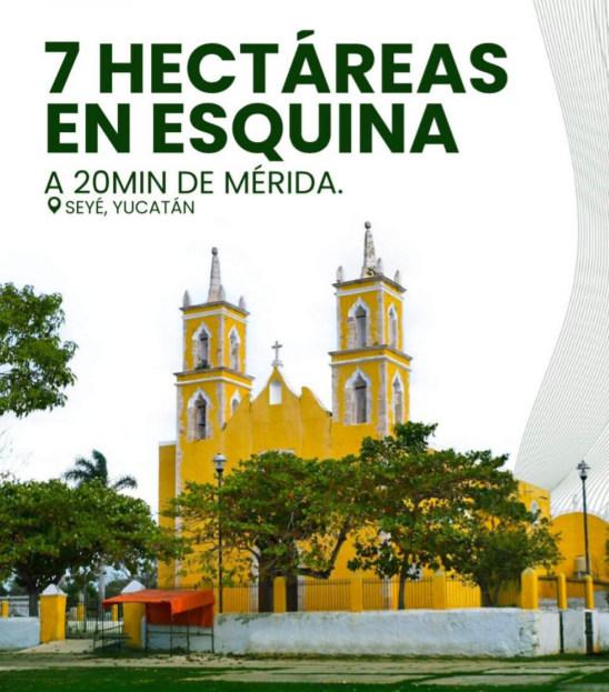1 de 7