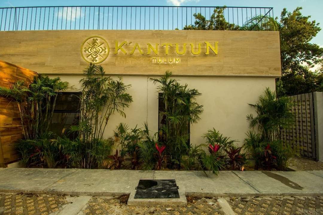 3 de 24