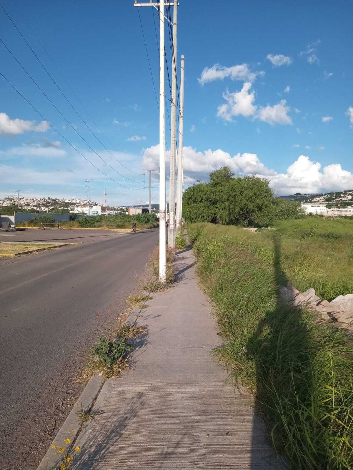 1 de 7