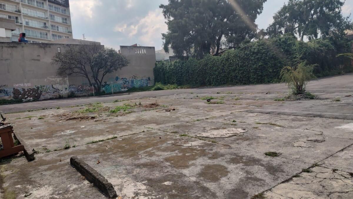 Imagen 4 de 8
