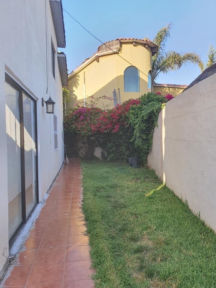 Side yard, plenty of space for animals