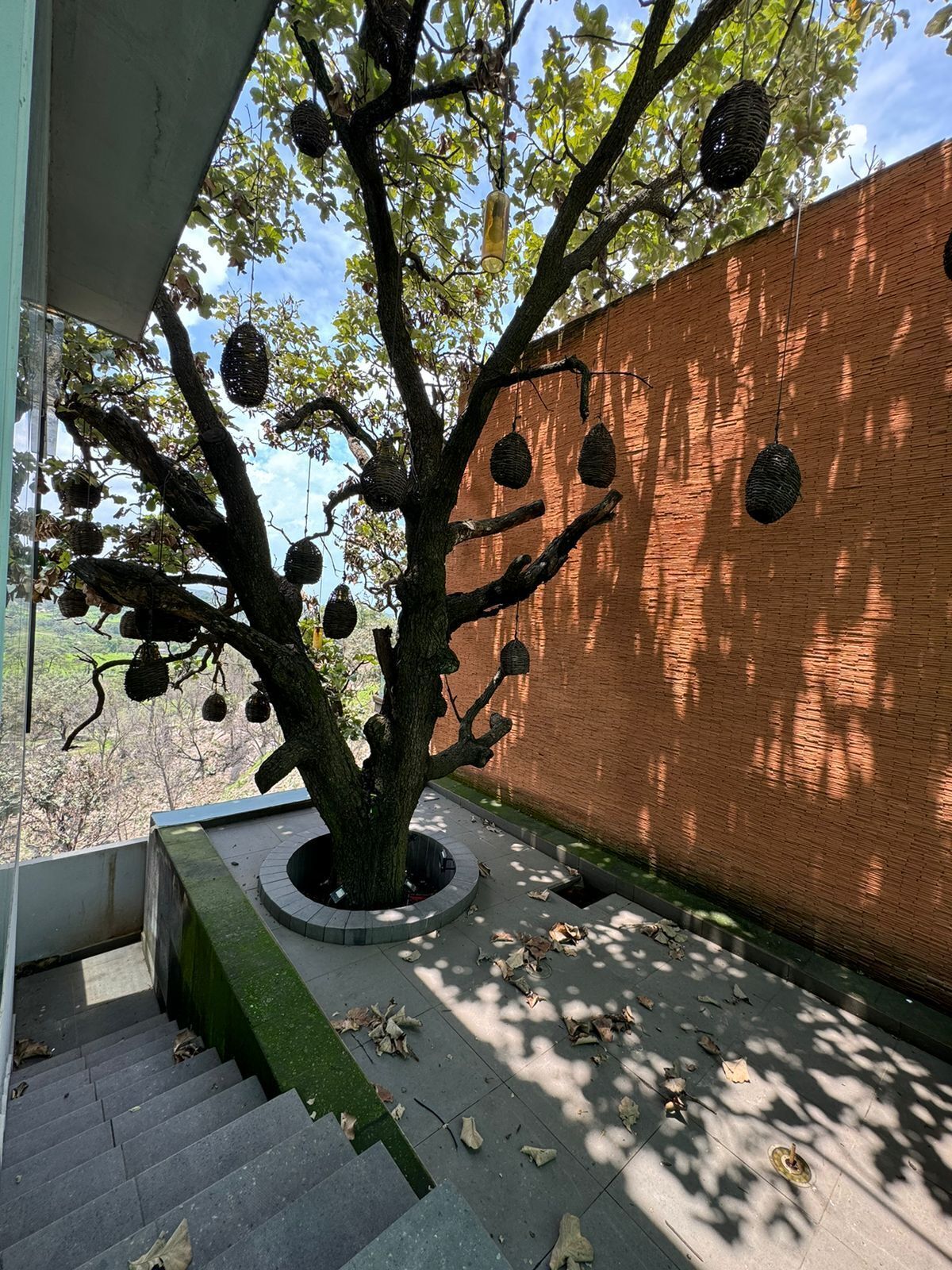 6 of 36