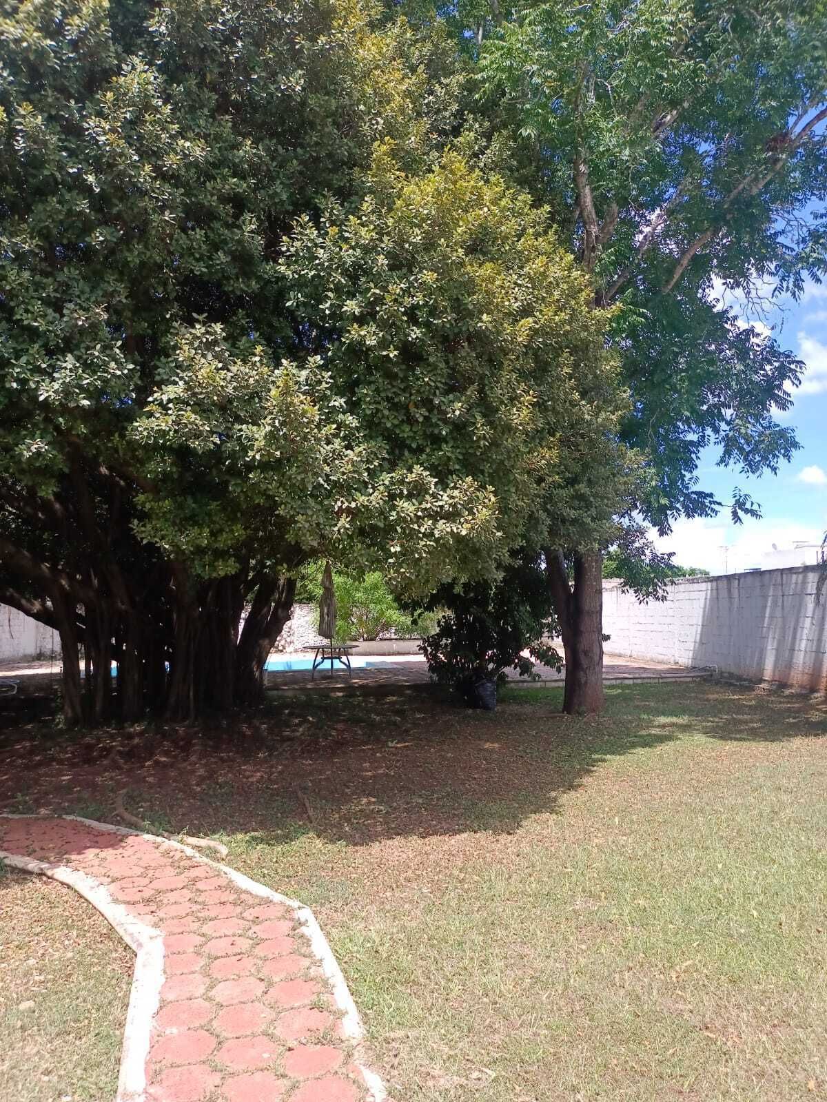 Terreno en Santa Rita Cholul, Mérida, foto 3 de 29
