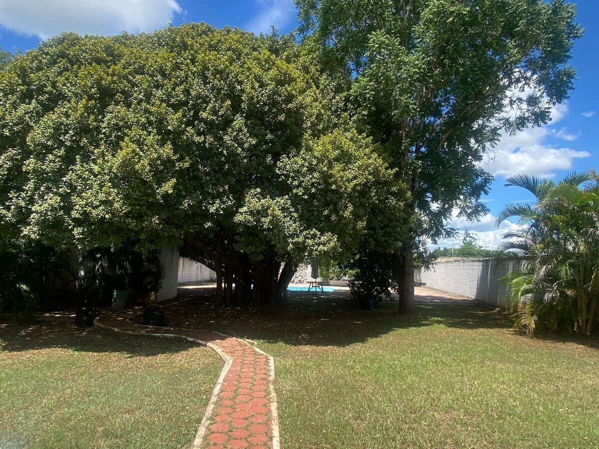 Terreno en Santa Rita Cholul, Mérida, foto 10 de 29