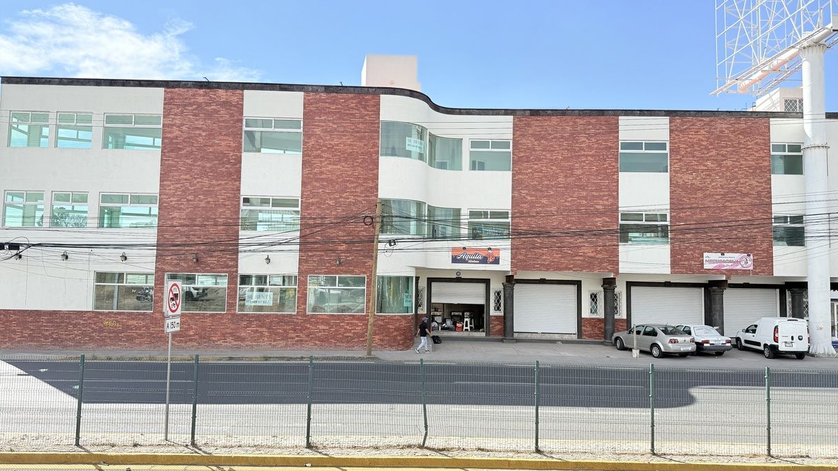 8 de 12