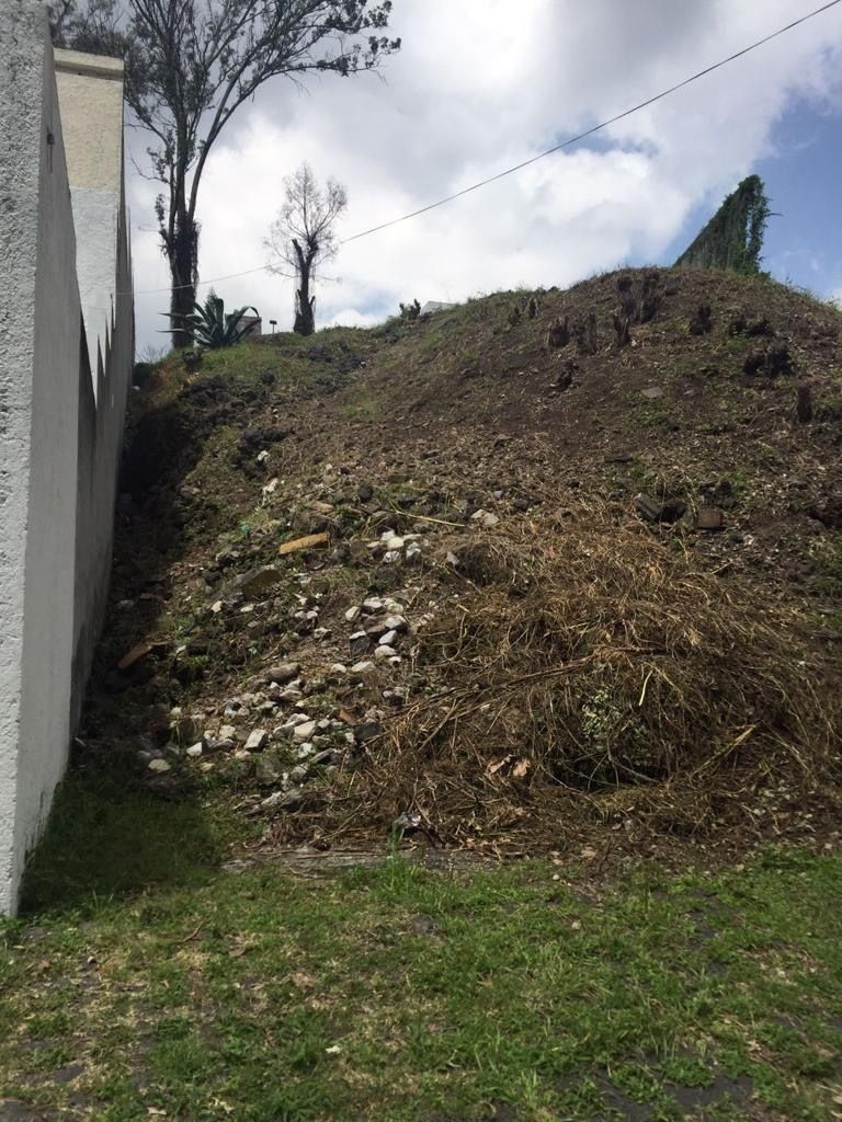 Terreno en venta en Colinas del Bosque - foto 4