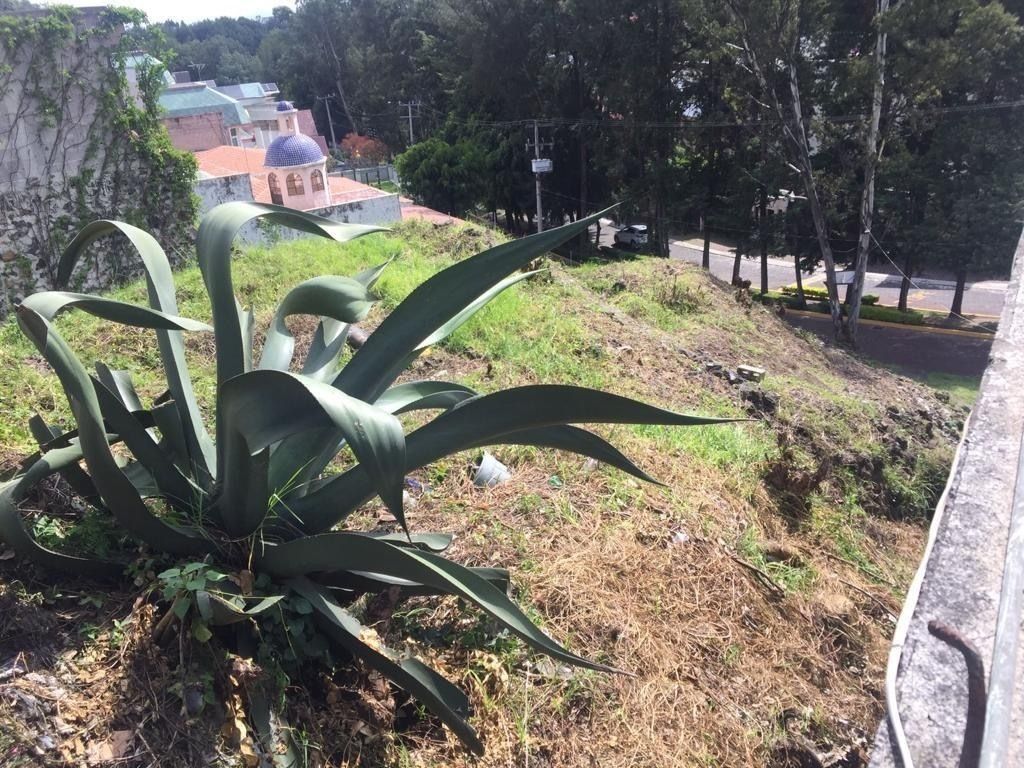 Terreno en venta en Colinas del Bosque - foto 2