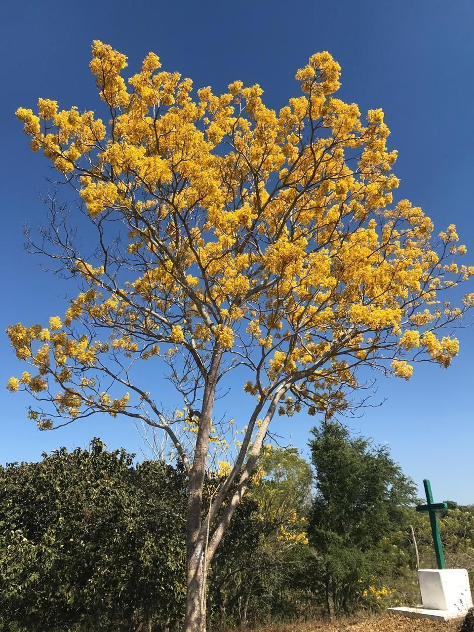 3 de 5