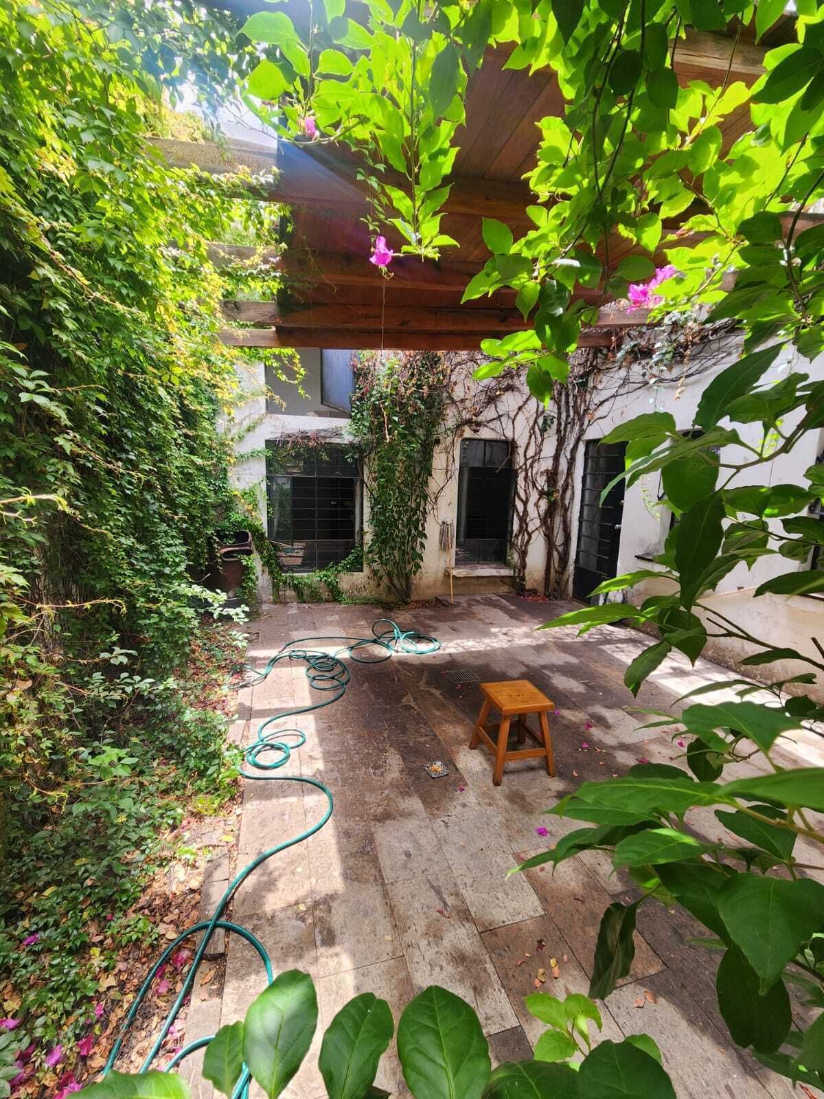 8 de 14: Patio posterior