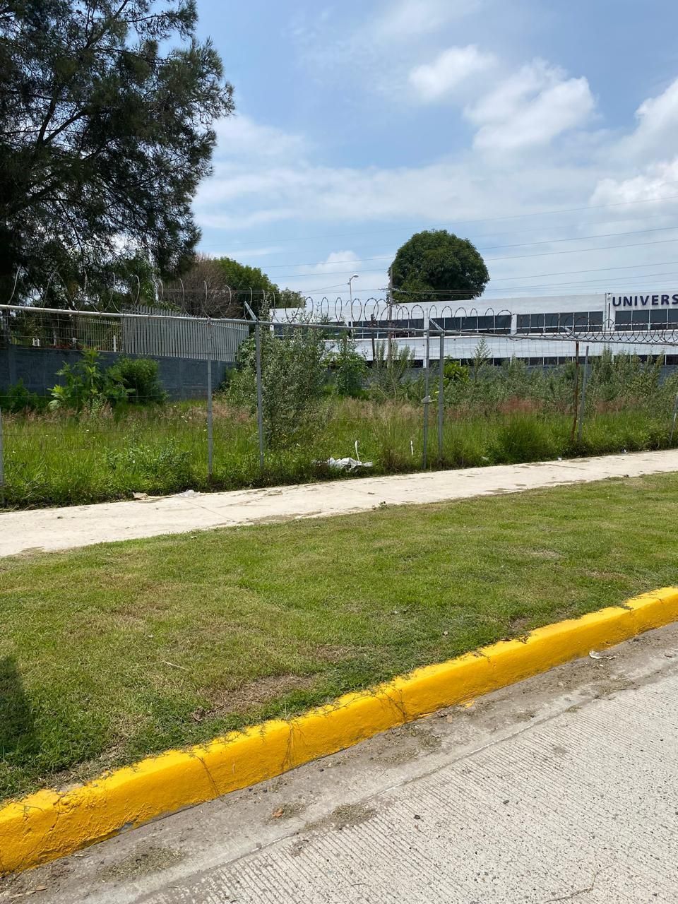 3 de 19