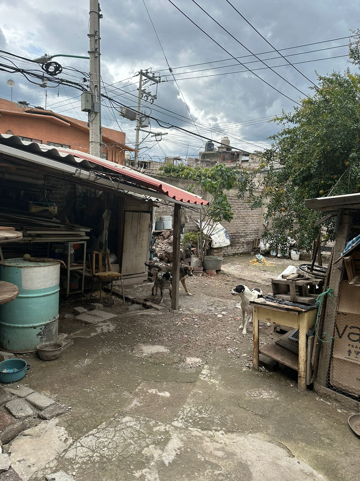 11 de 22