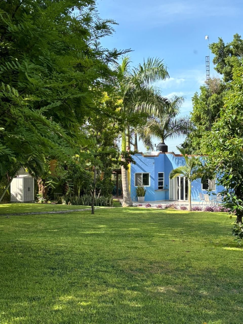 1 de 36