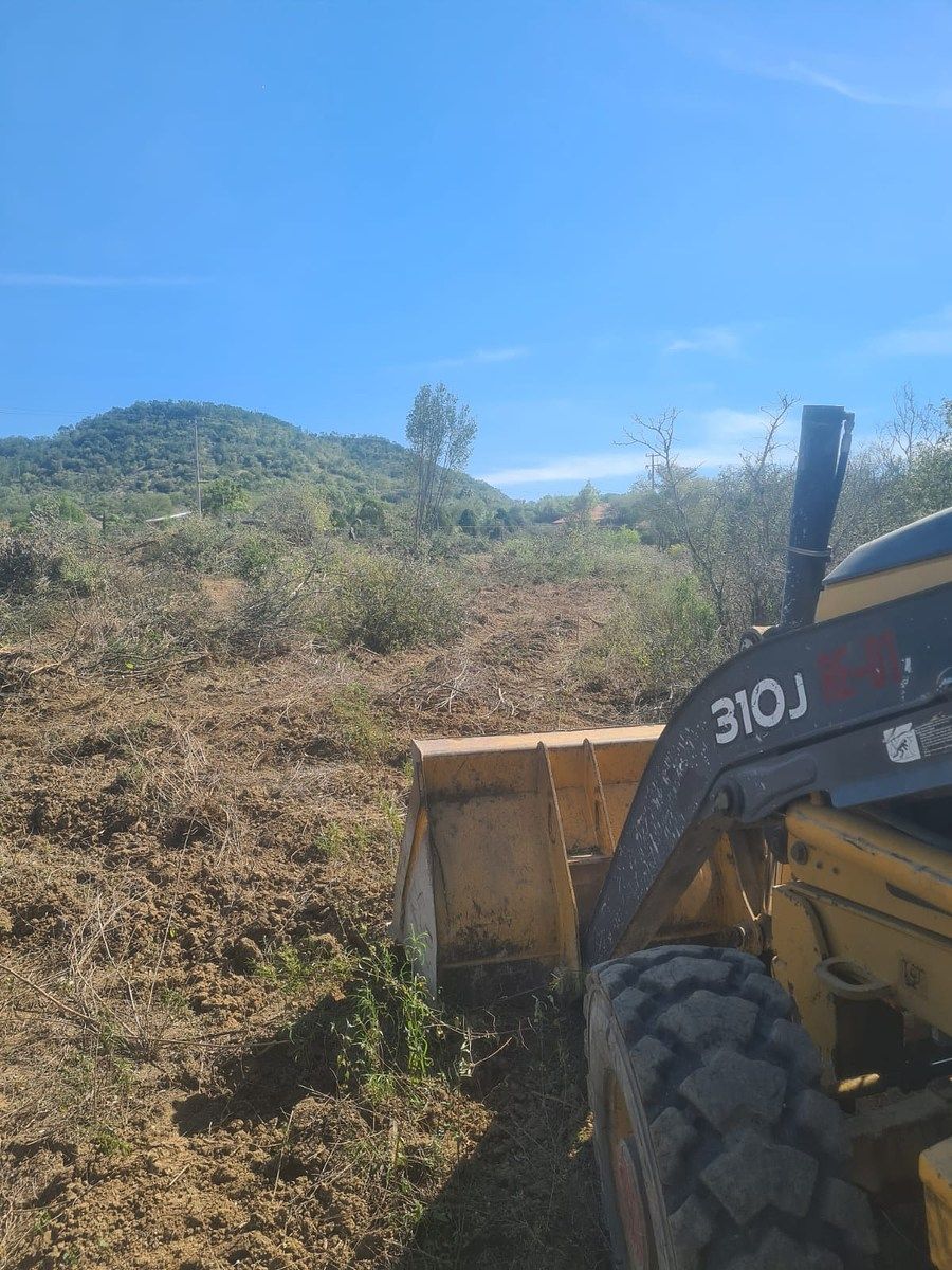 Terreno en Zambrano, Montemorelos, foto 3 de 4