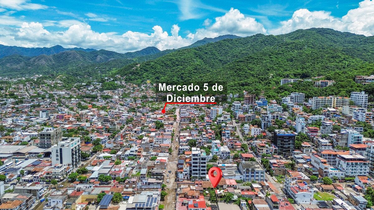 16 de 20