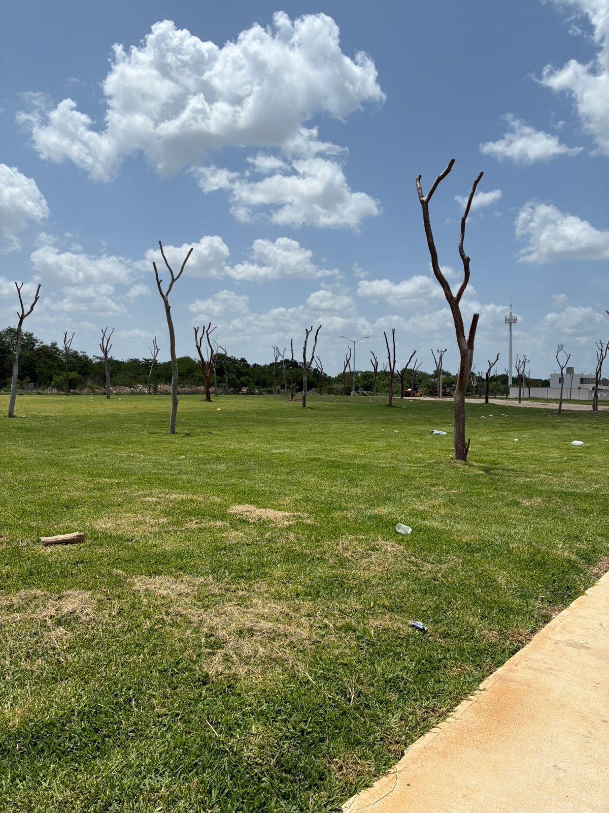 9 de 11: Avanza de Obra