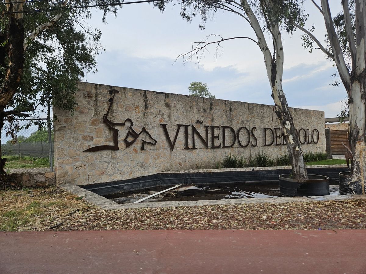 4 de 35