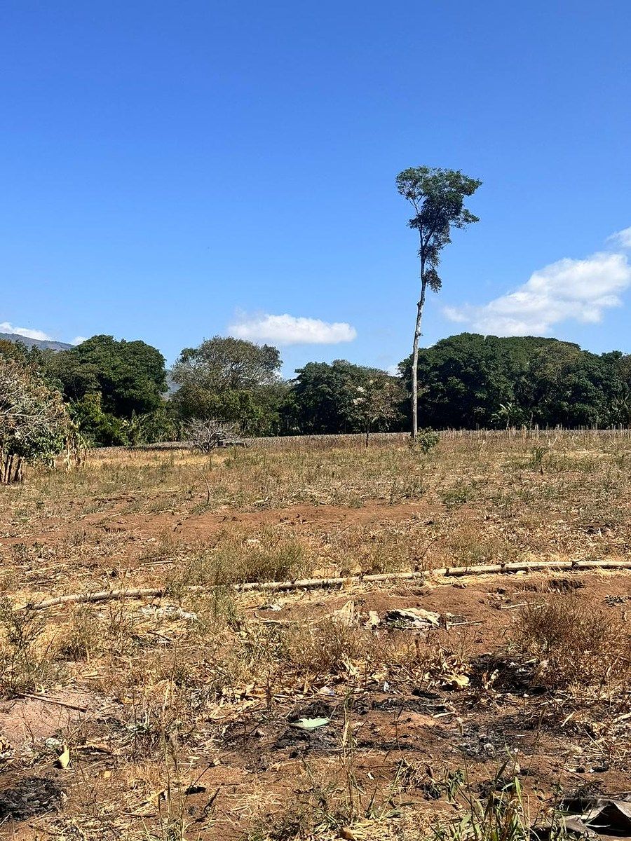 Terreno en Villa Canales, foto 2 de 32