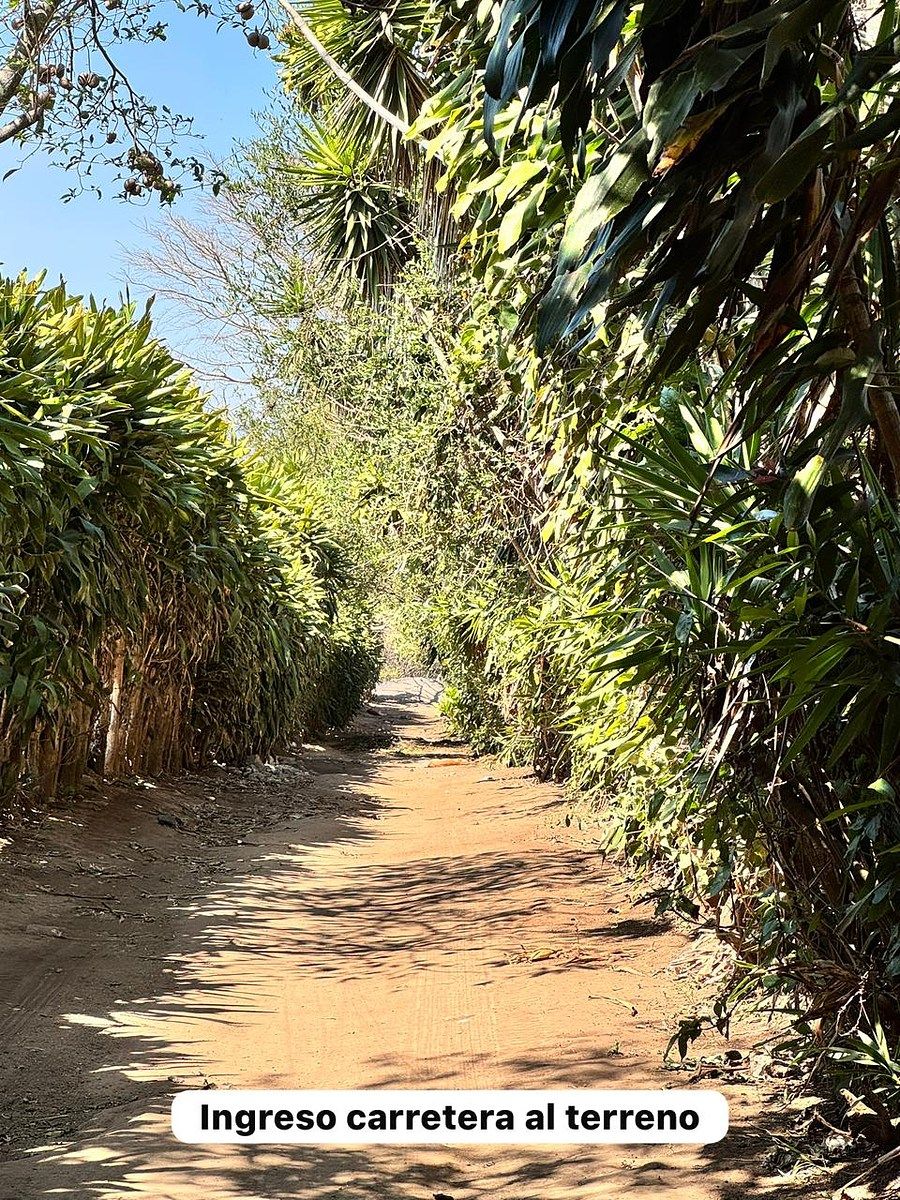 Terreno en Venta, Aldea El Jocotillo Villa Canales, foto 1 de 32