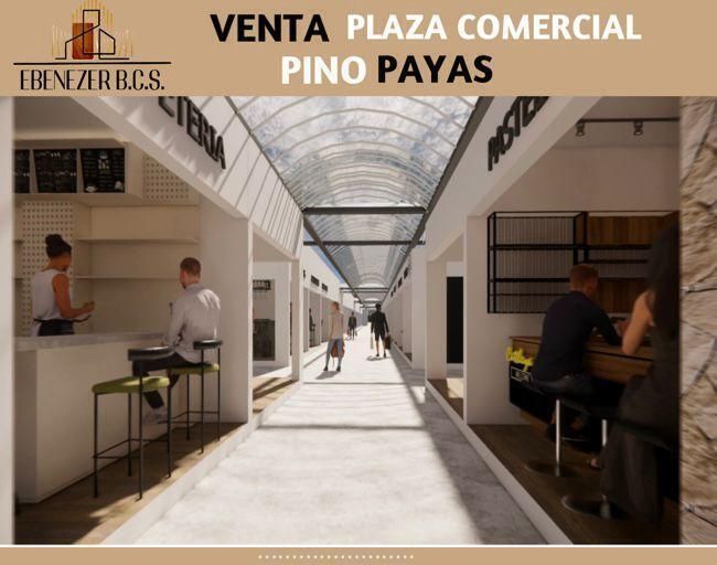 Plaza Comercial Pino Payas (Pallas)