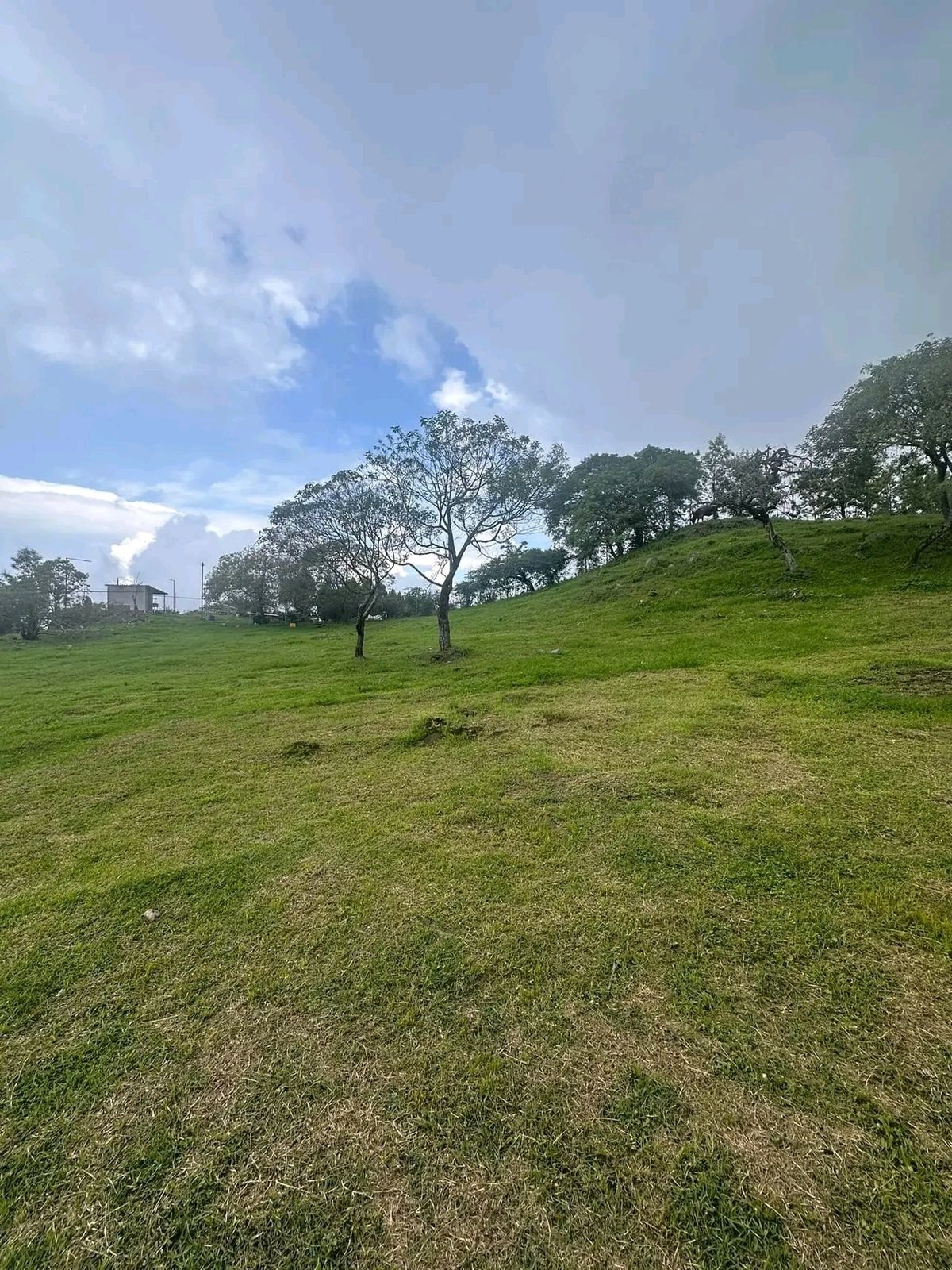 Venta Terreno / Lote Cofradía de Suchitlán - Comala