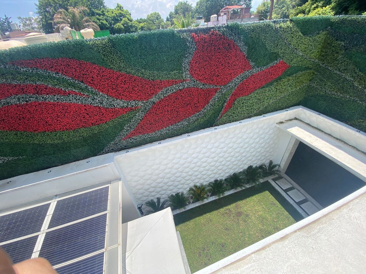 6 de 37: jardín con muro verde