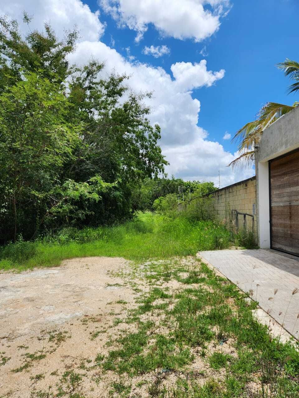 https://assets.easybroker.com/property_images/4710819/79578544/EB-RC0819.jpeg?version=1725300331
