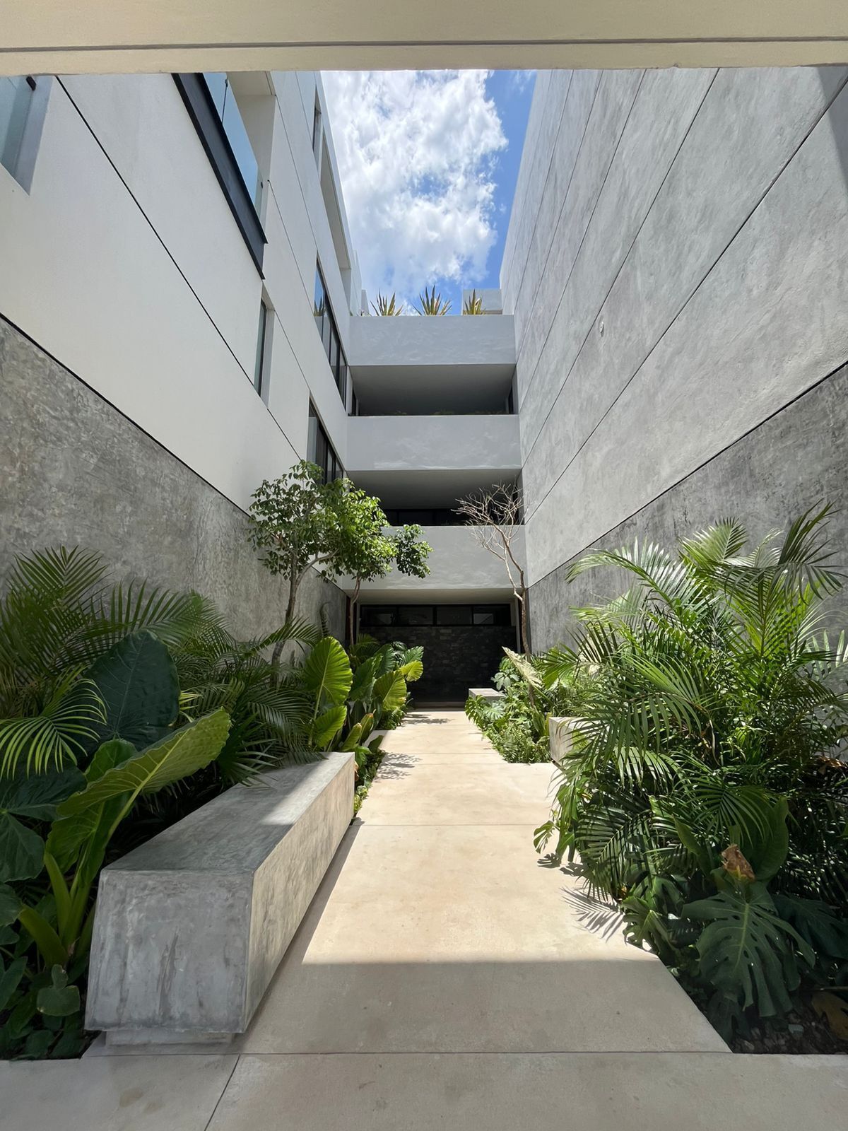 Área de entrada
