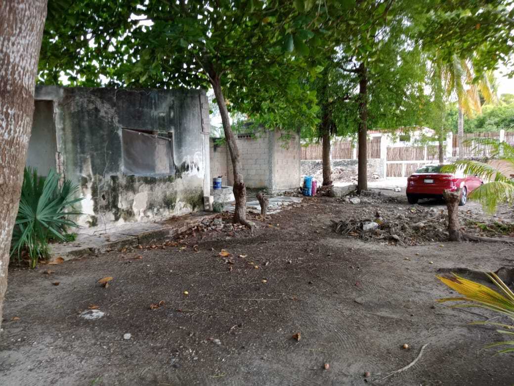 2 de 23