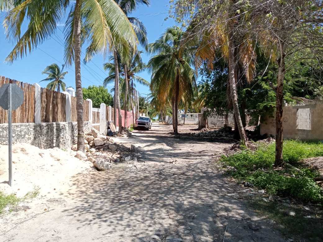 3 de 23