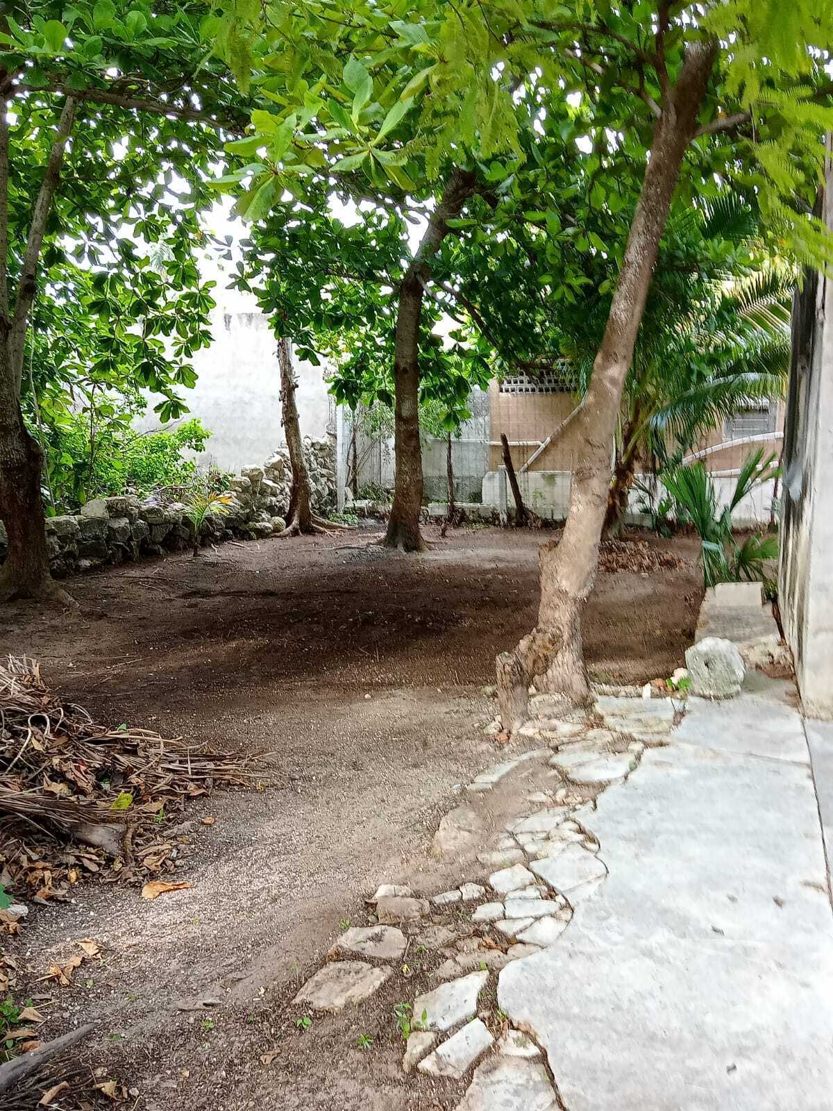 5 de 23