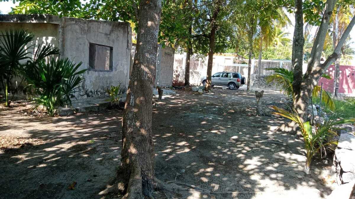 21 de 23