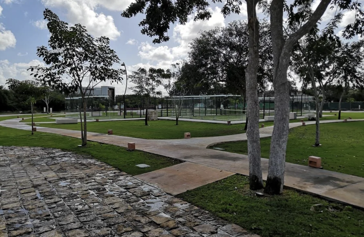 11 de 12: AMENIDADES OASIS