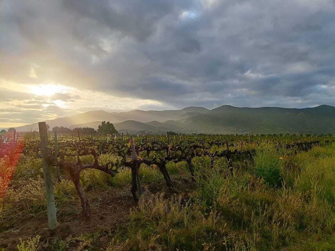 Terreno agrícola en venta de 4 Hectáreas en una excelente ubicación