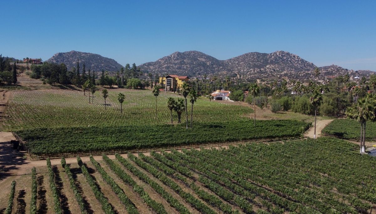 Terrenos en Venta, Rancho Tecate, Tecate