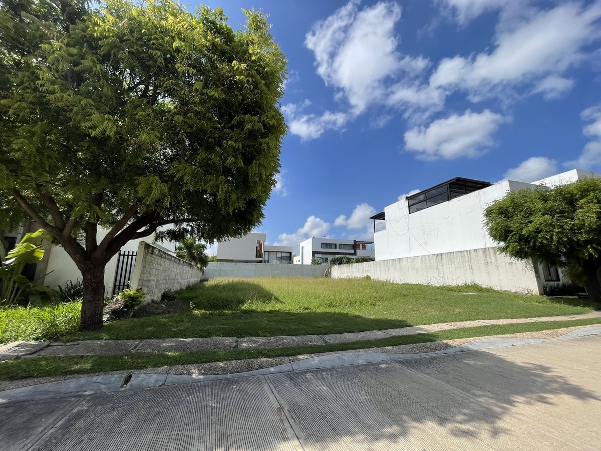 https://assets.easybroker.com/property_images/4713868/79637622/EB-RC3868.jpeg?version=1725391997