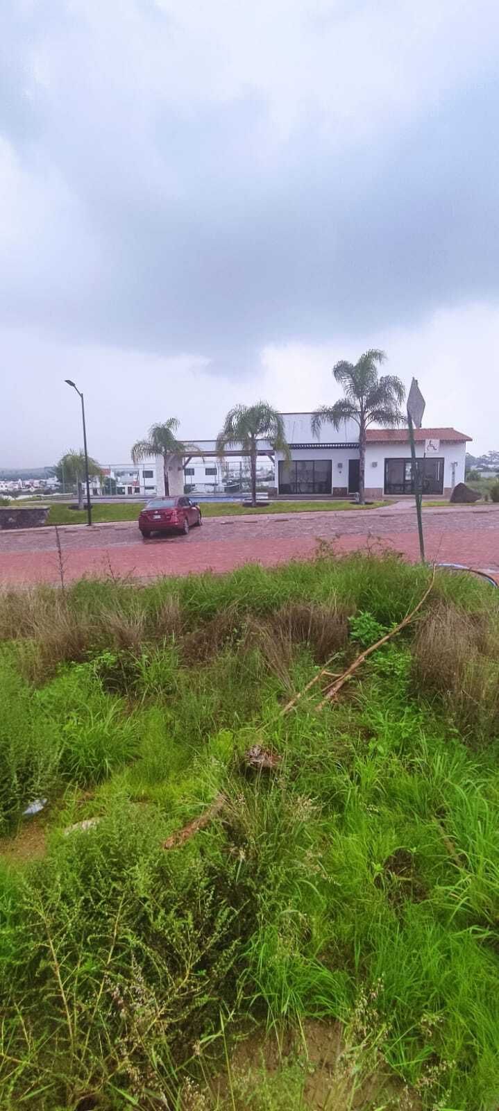 Imagen 3 de 4