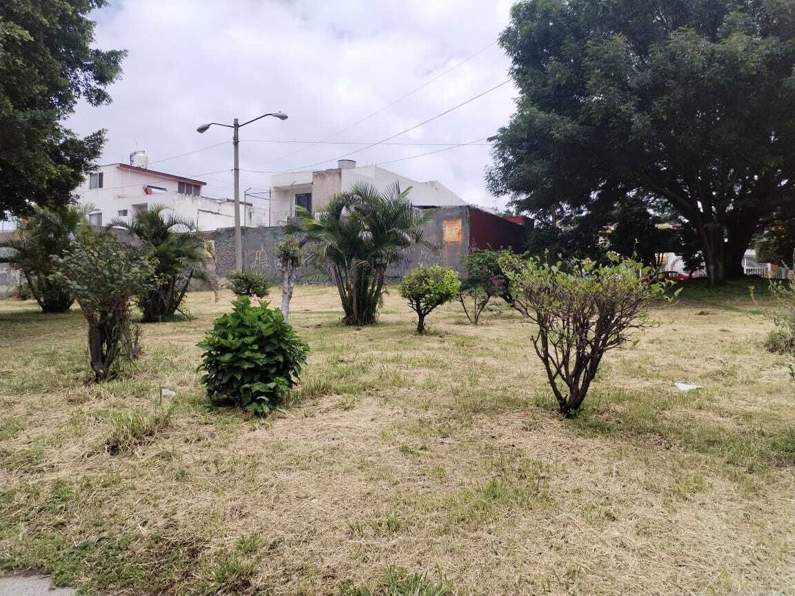 8 de 37
