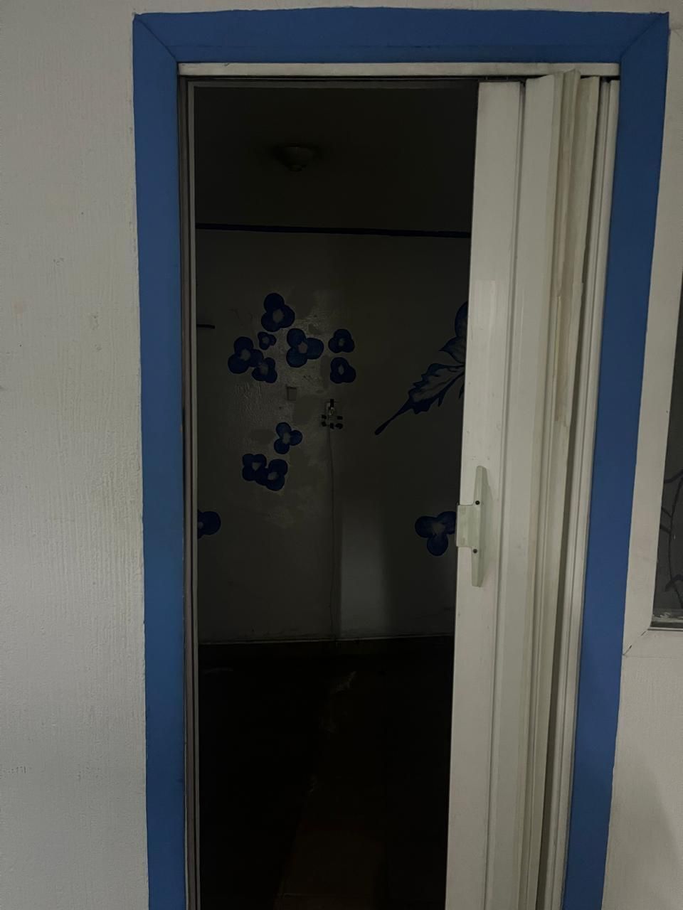 2 de 24