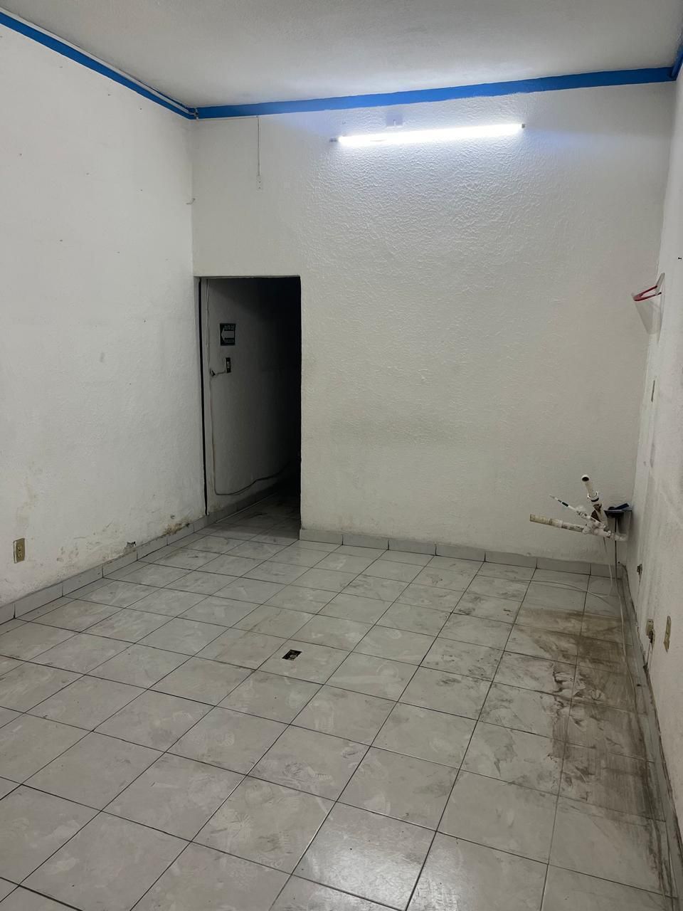 10 de 24