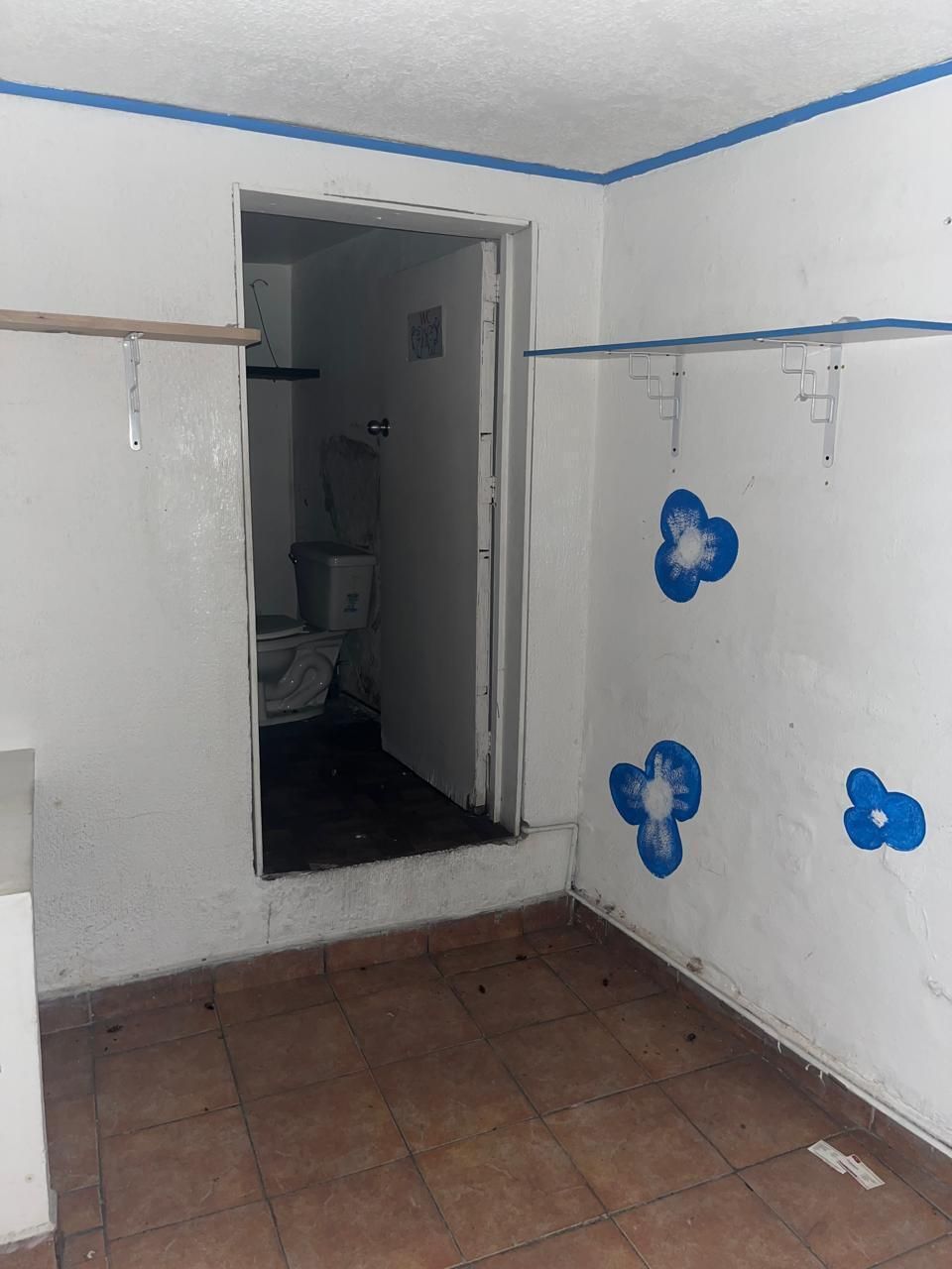 24 de 24