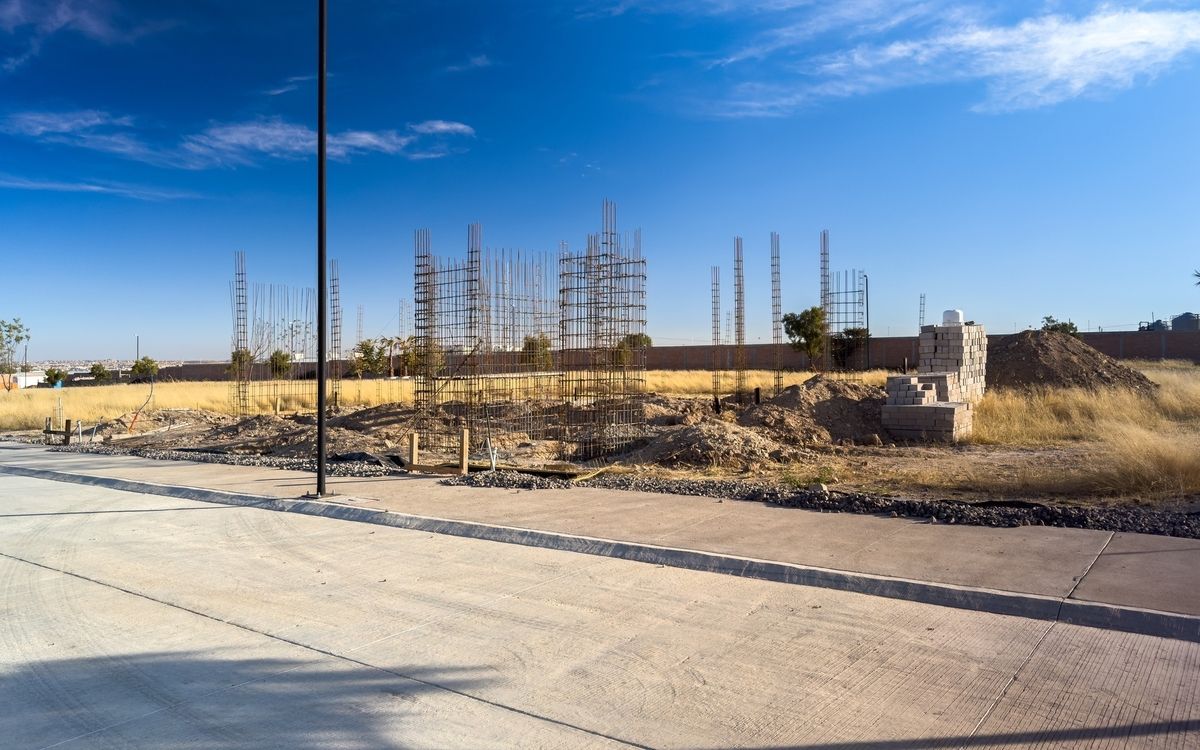 7 of 16: Avance Enero 2025