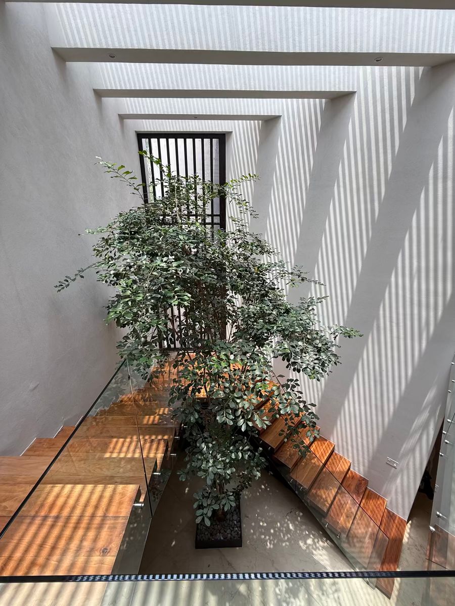 House in Jardines del Pedregal, Álvaro Obregón, photo 37 of 41
