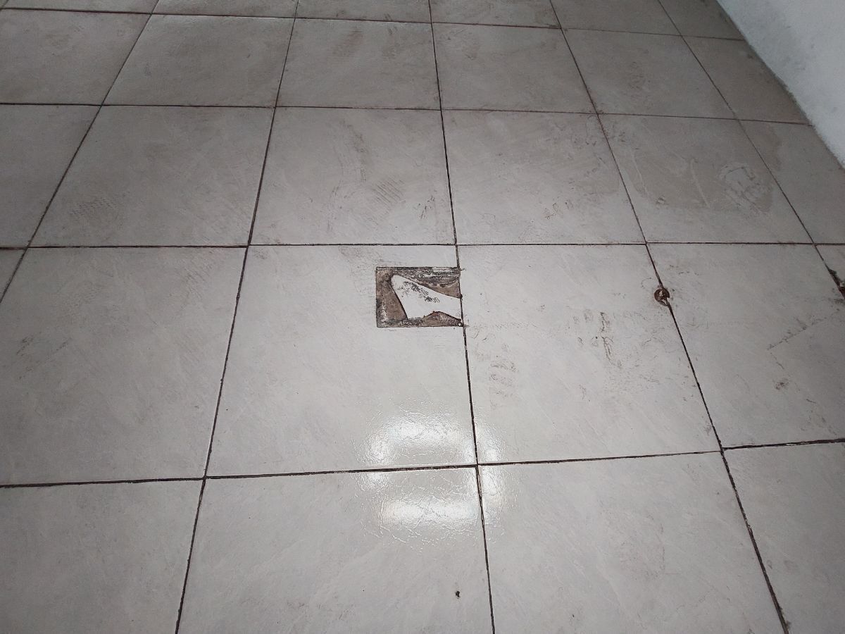 4 de 6
