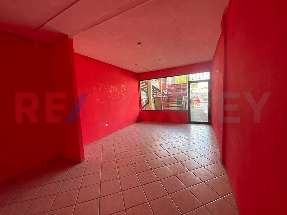 6 de 12