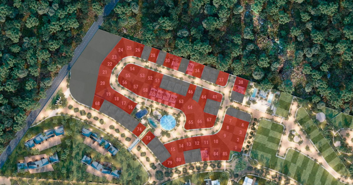 5 de 49: PORTAL 100% VENDIDA