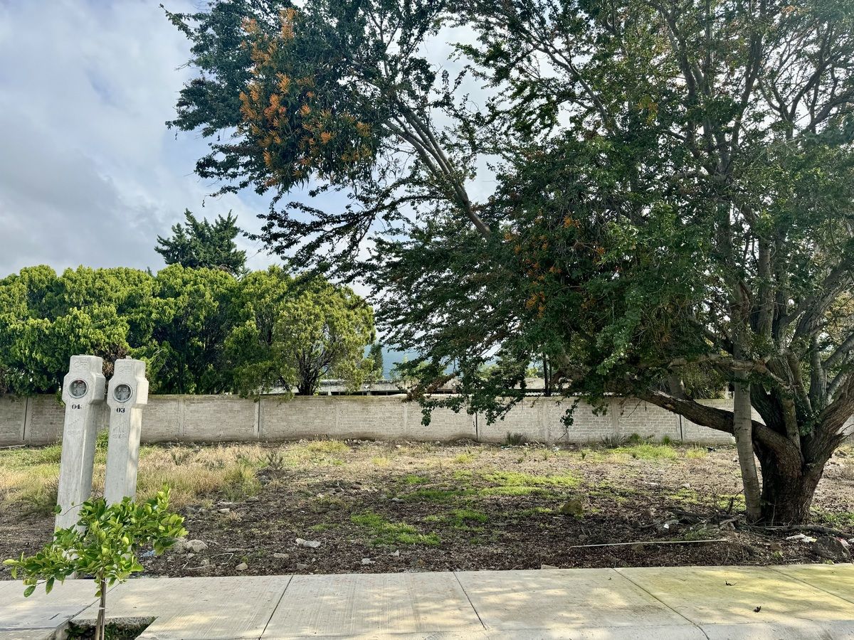 5 de 30