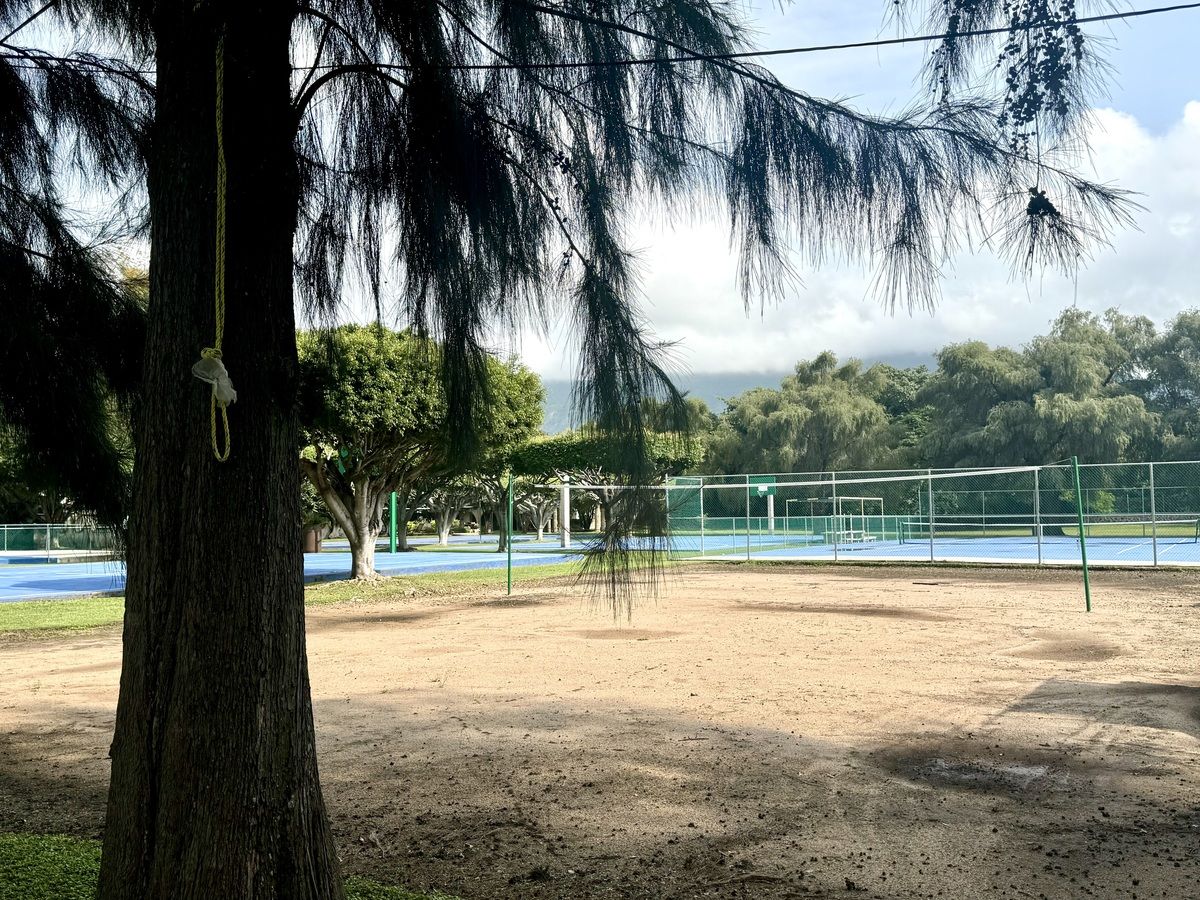 15 de 30