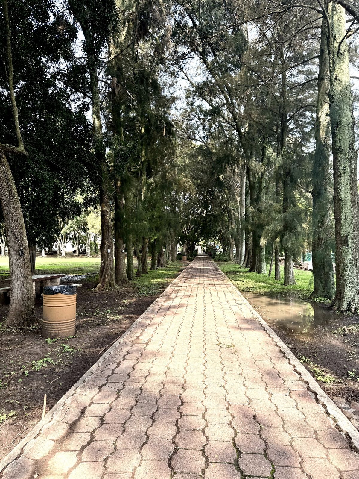 19 de 30