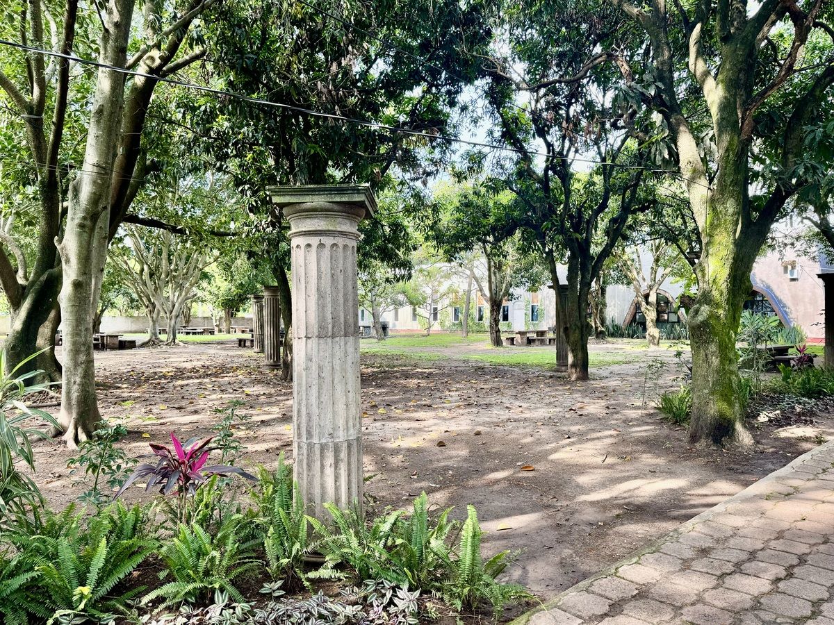25 de 30