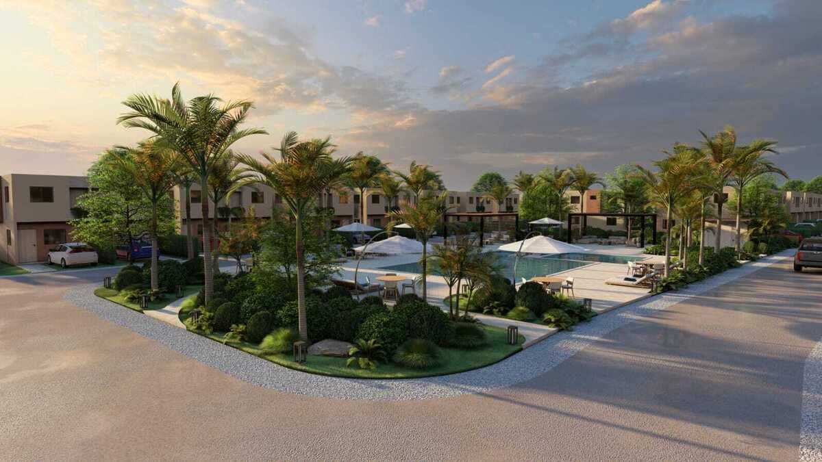 6 de 11
